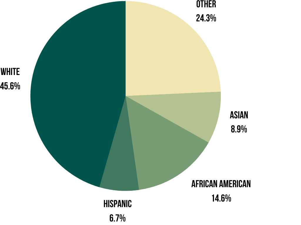 2021 Graduate Programs Enrollment by Race