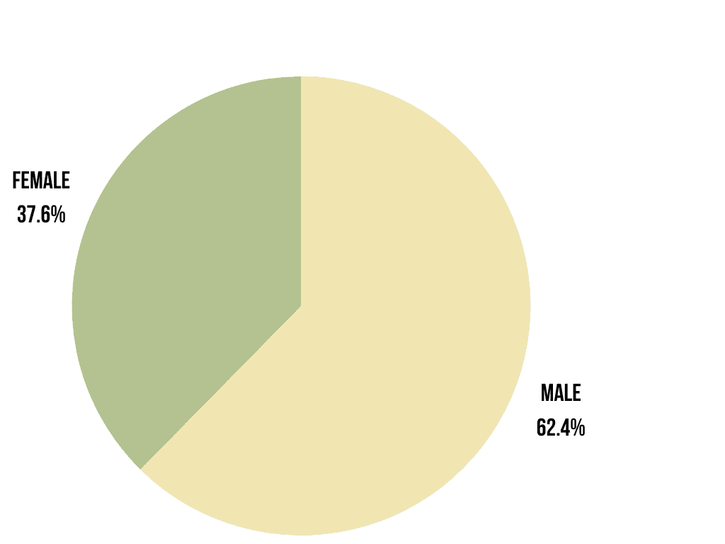 2021 Undergraduate Programs Enrollment by Gender
