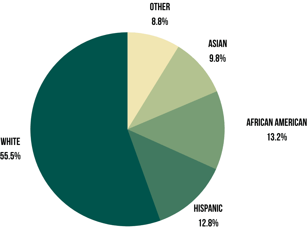 2021 Undergraduate Programs Enrollment by Race