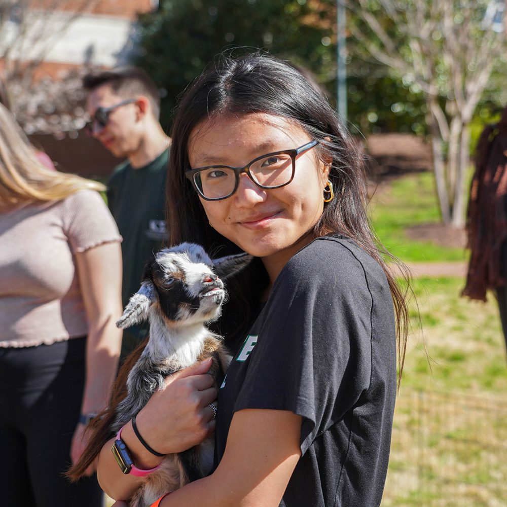 American Marketing Association petting zoo
