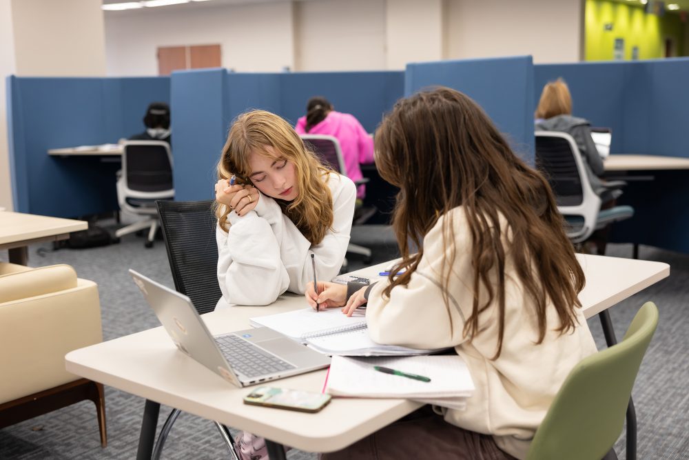 Undergraduate Academics: Two UNC Charlotte students studying at the Atkins Library